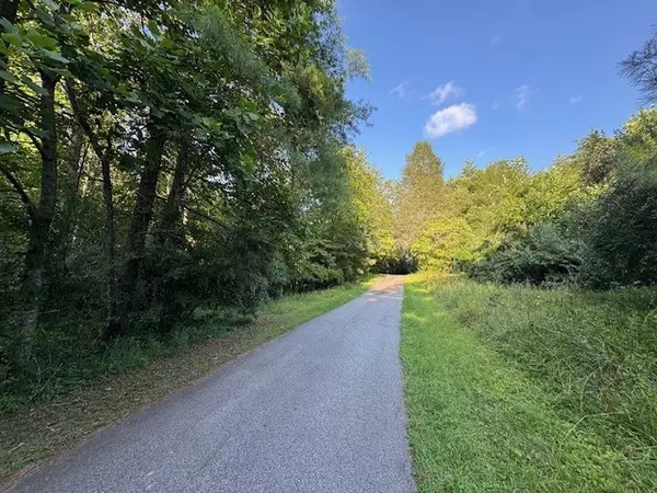 Mineral Bluff, GA 30559,LT 1 Newberry Drive