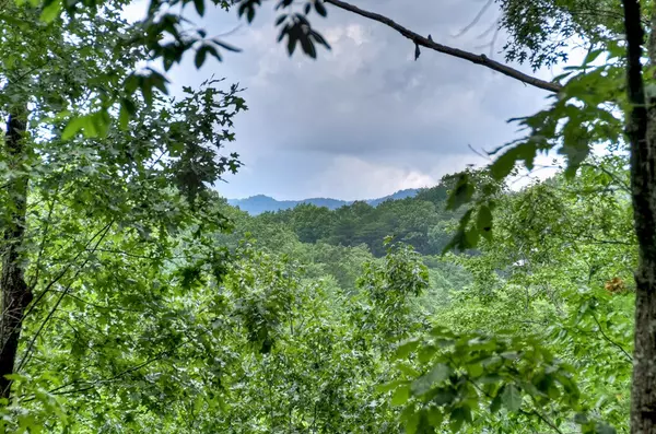 Blue Ridge, GA 30513,156 Dupont Drive