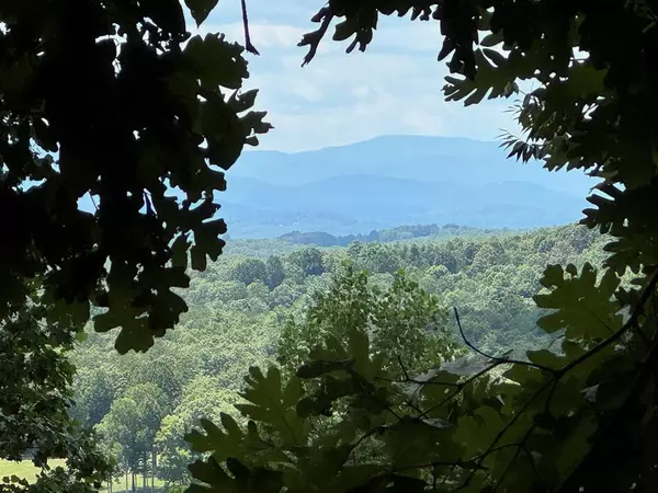 Morganton, GA 30560,Lot 37 Picklesimer Mountain