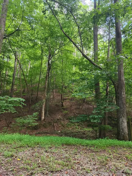 Lot 133 Shiloh Court, Ellijay, GA 30540