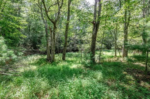 Mineral Bluff, GA 30559,Lot 13 Rocking Chair Ridge