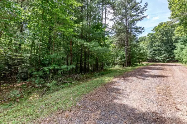 Mineral Bluff, GA 30559,Lot 12 Rocking Chair Ridge