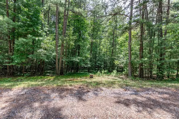 Mineral Bluff, GA 30559,Lot 12 Rocking Chair Ridge