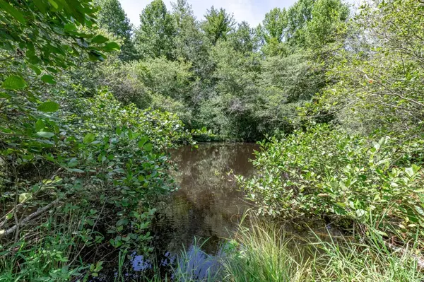 Mineral Bluff, GA 30559,Lot 10 Rocking Chair Ridge