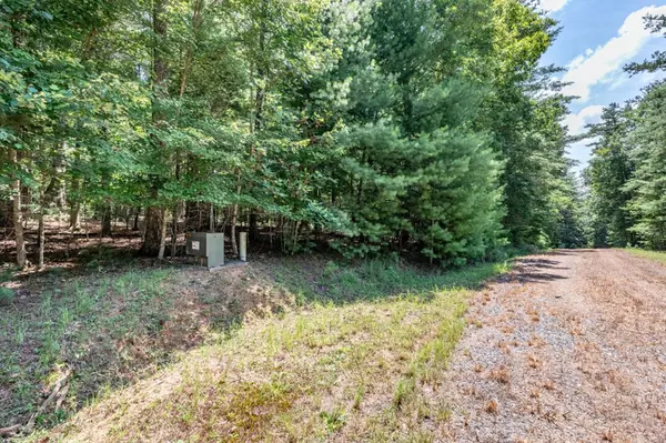 Mineral Bluff, GA 30559,Lot 1 Rocking Chair Ridge