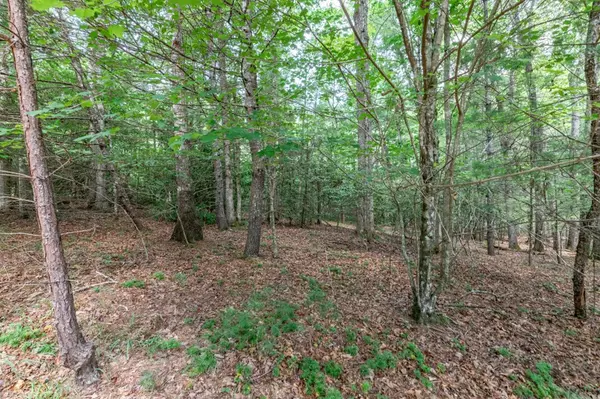 Mineral Bluff, GA 30559,Lot 2 Rocking Chair Ridge