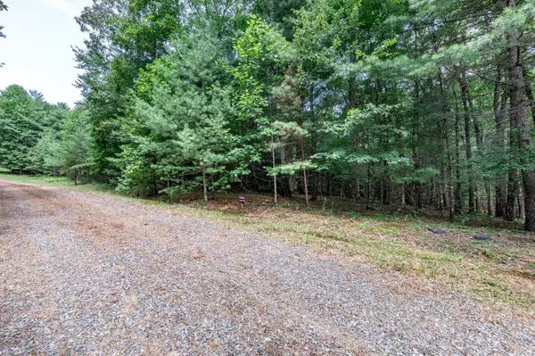 Mineral Bluff, GA 30559,Lot 2 Rocking Chair Ridge