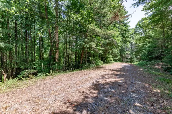 Mineral Bluff, GA 30559,Lot 4 Rocking Chair Ridge