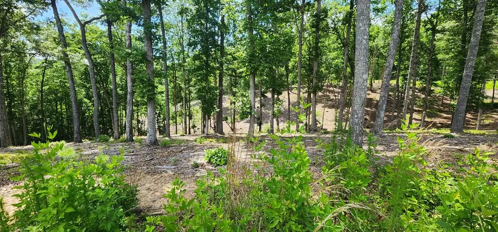 Morganton, GA 30560,LT 106 Split Creek Road