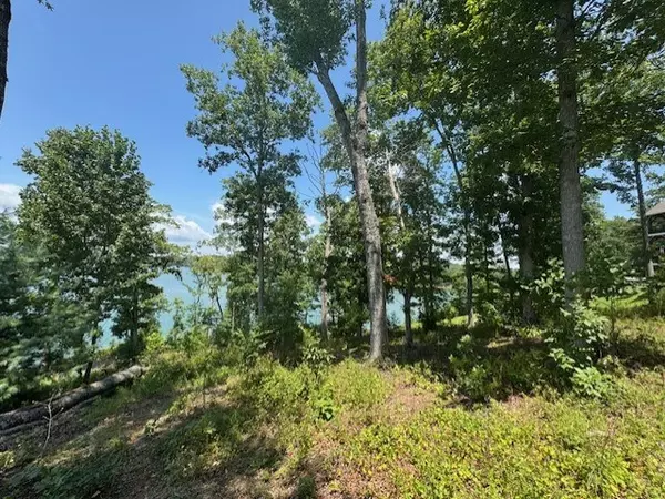 Blairsville, GA 30512,Lot 5 Hunter Lane