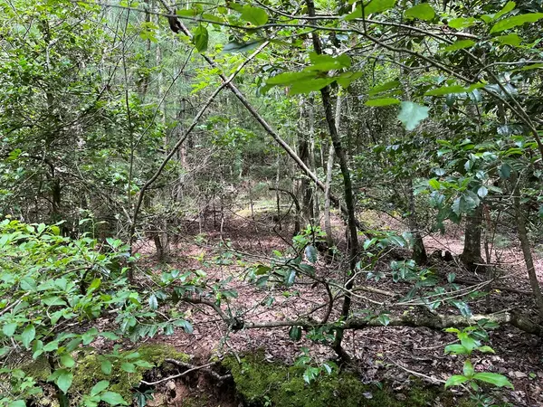 Brasstown, NC 28906,TBD Sheep Knob
