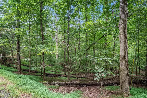 Ellijay, GA 30540,Lot 72 Huron Circle