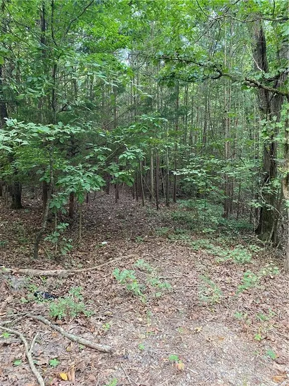 0 Marie Drive, Ellijay, GA 30175