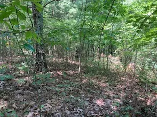 Ranger, GA 30734,LT 797 Woodbine Lane