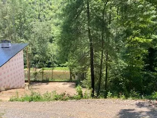 Ranger, GA 30734,Lot 815 Lonsdale Lane