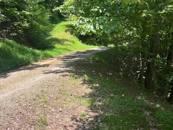 Brasstown, NC 28904,Lot 11 Laurel Mountain Road