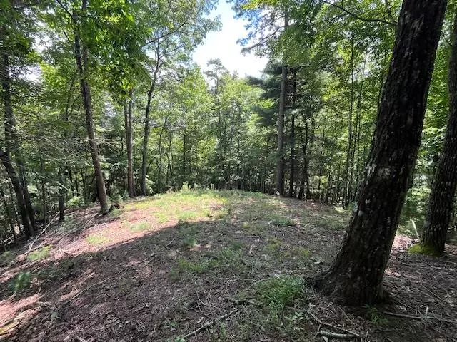 Lot 11 Laurel Mountain Road, Brasstown, NC 28904