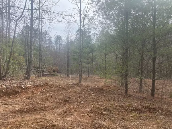 Murphy, NC 28906,0 Flea Mountain Road
