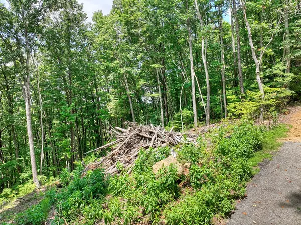 Blue Ridge, GA 30513,Lot 12 The Heights