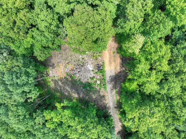 Blue Ridge, GA 30513,Lot 12 The Heights