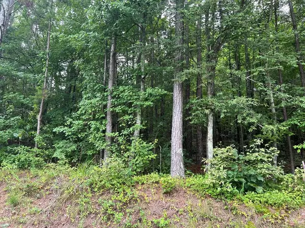 White, GA 30184,119 Kirk Road