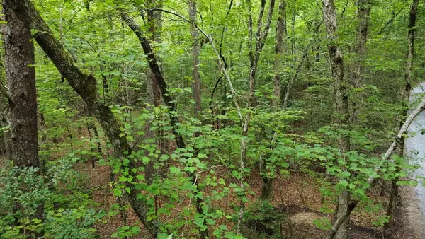 Mineral Bluff, GA 30559,00 Hwy 60