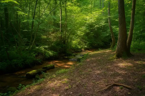 Mineral Bluff, GA 30559,149 Happy Hollow Lane