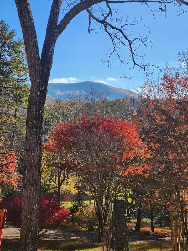 Blairsville, GA 30512,350 Miller Cove Road