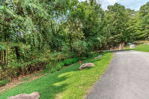 Talking Rock, GA 30175,4.7AC Mountain Creek Hollow Drive