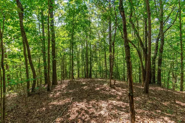 Talking Rock, GA 30175,4.7AC Mountain Creek Hollow Drive