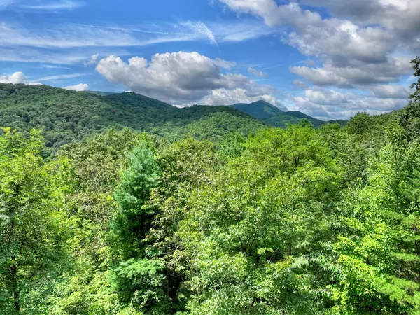 Blue Ridge, GA 30513,101 Falling Rock Road
