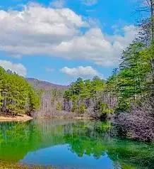 41 Golden Delicious Road, Clarkesville, GA 30523