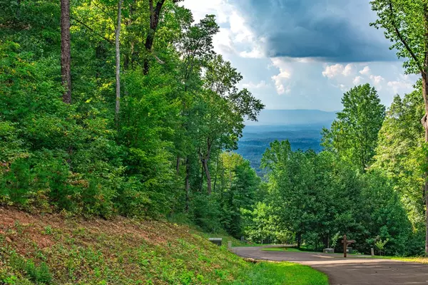 Jasper, GA 30143,Lot 219 Stone Cliff Drive