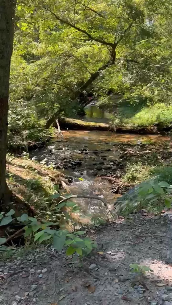 358 Piney Spur Road, Ellijay, GA 30540