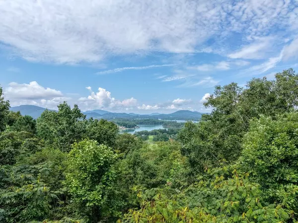 Hayesville, NC 28904,343 Dan Knob Drive