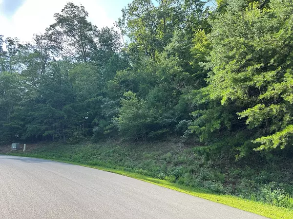 Ellijay, GA 30175,257 Andes Ridge