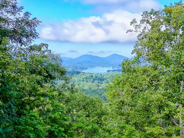 Hayesville, NC 28904,417 Hidden Forest Lane