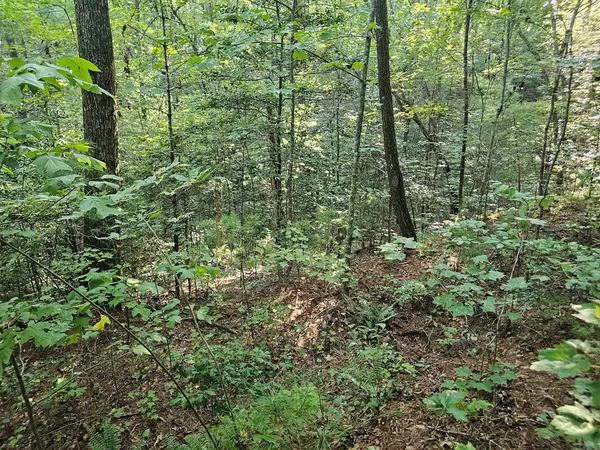 Ellijay, GA 30540,0 Bates Drive