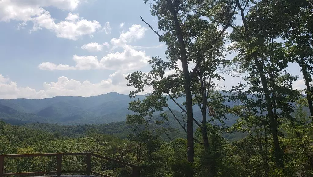 Hiawassee, GA 30546,LT17 Mill Ridge Road