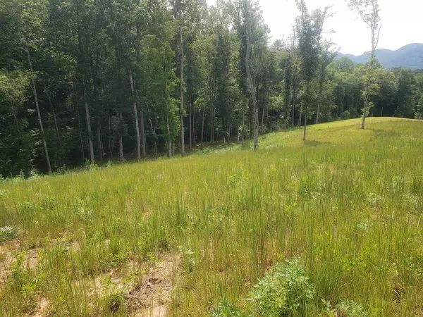 Young Harris, GA 30582,000 Nottaway Road