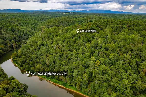 Ellijay, GA 30540,2.5 AC Mango Lane