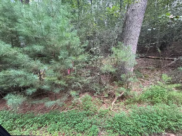 Blairsville, GA 30512,Tract 1B Praise The Lord Lane