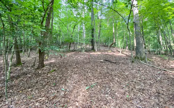 Ellijay, GA 30540,137R/135 Shiloh Court