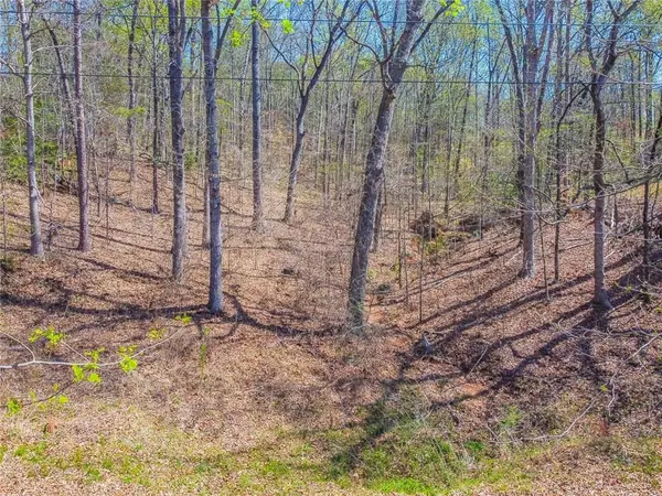 Ranger, GA 30734,533 Marque Lane