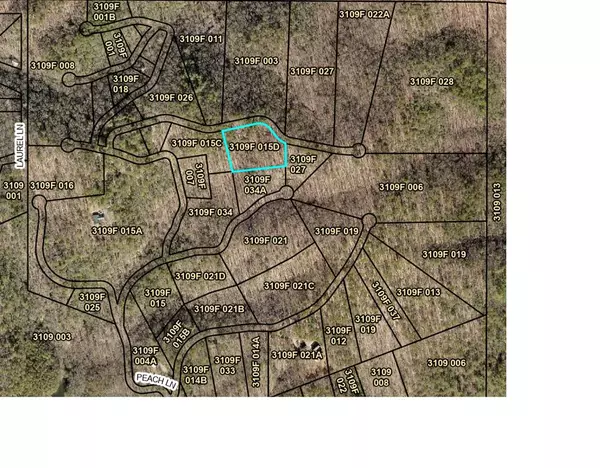0 Peach Lane, Cherry Log, GA 30522