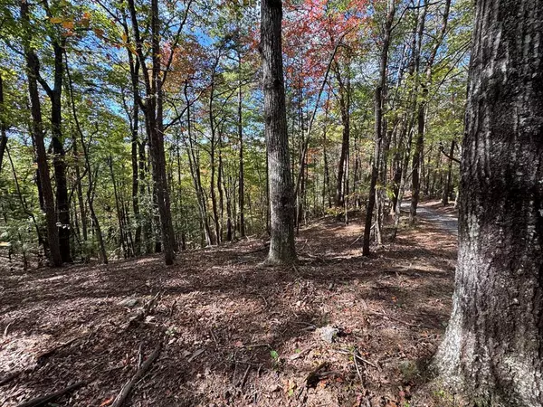 0 Peach Lane, Cherry Log, GA 30522