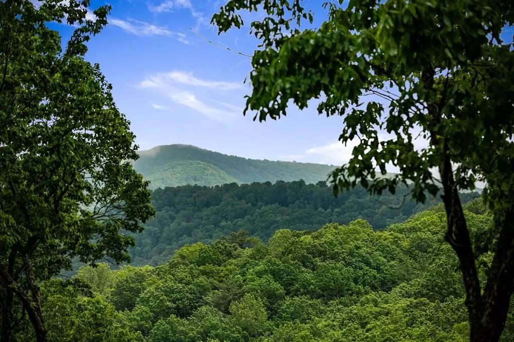 Ellijay, GA 30536,947 Mountain Oak Road