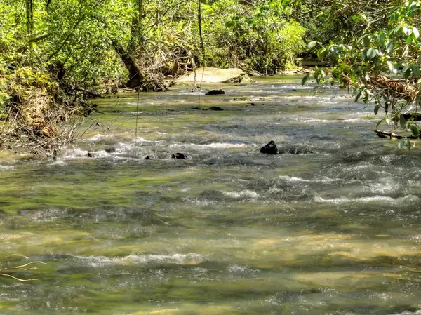 Ellijay, GA 30536,4468 Clear Creek Road