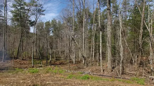 Ellijay, GA 30536,140 Autumn Fern Lane