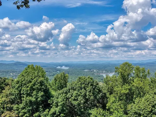 Blairsville, GA 30512,310 Hickory Fork